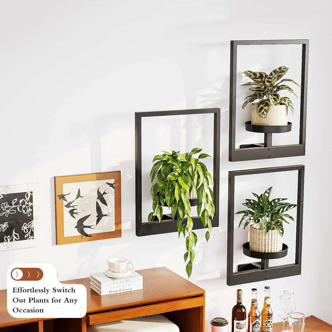 Planty® | Cadre pour plantes