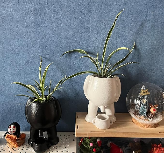 Willy® | Pot de fleur