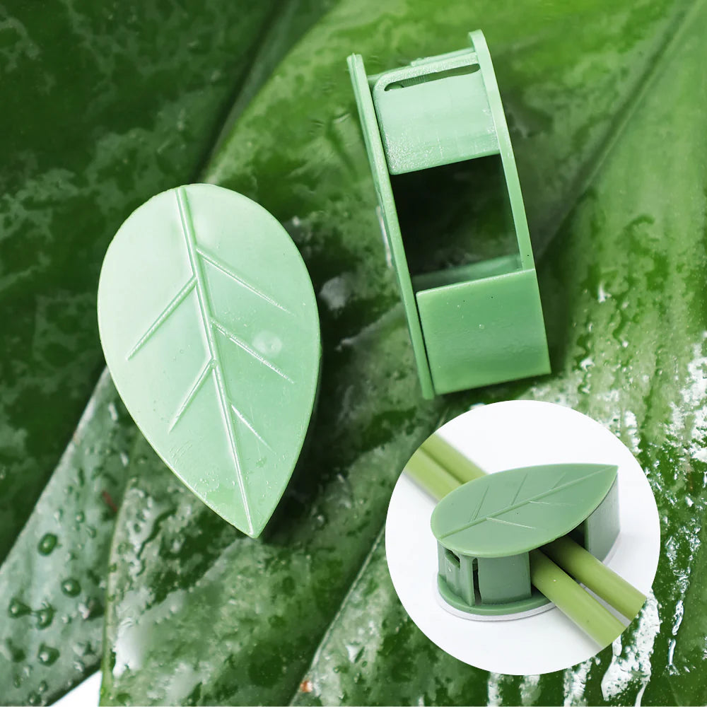 FloraGrip® - Fixations pour plantes grimpantes