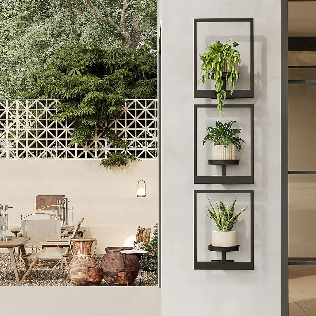 Planty® | Cadre pour plantes