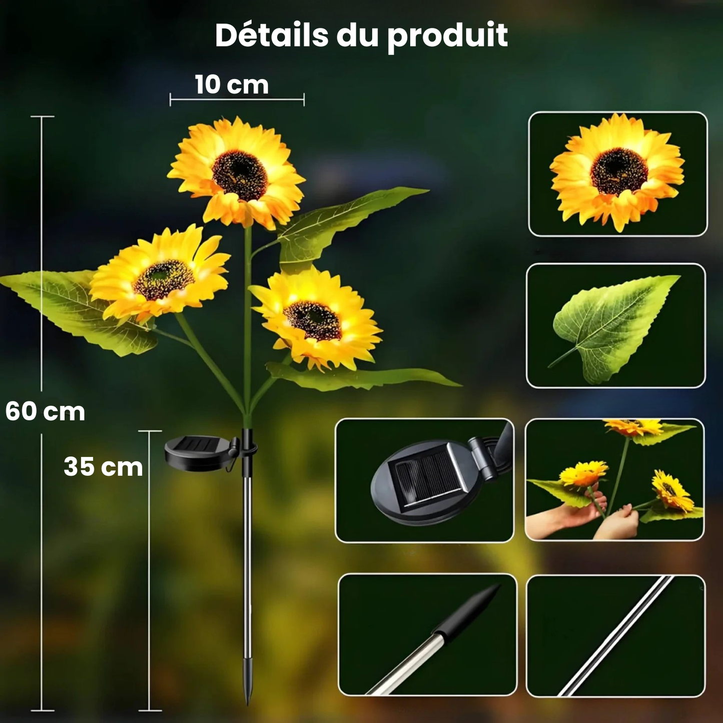 Mes petits tournesols®