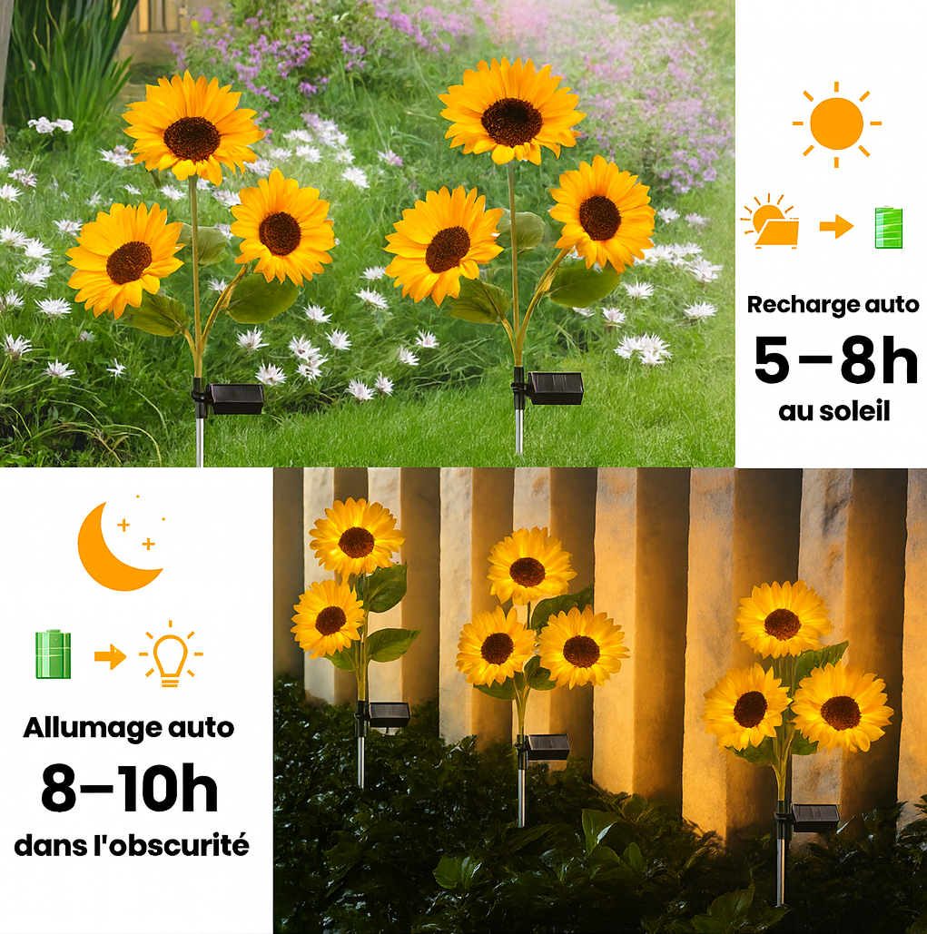Mes petits tournesols®