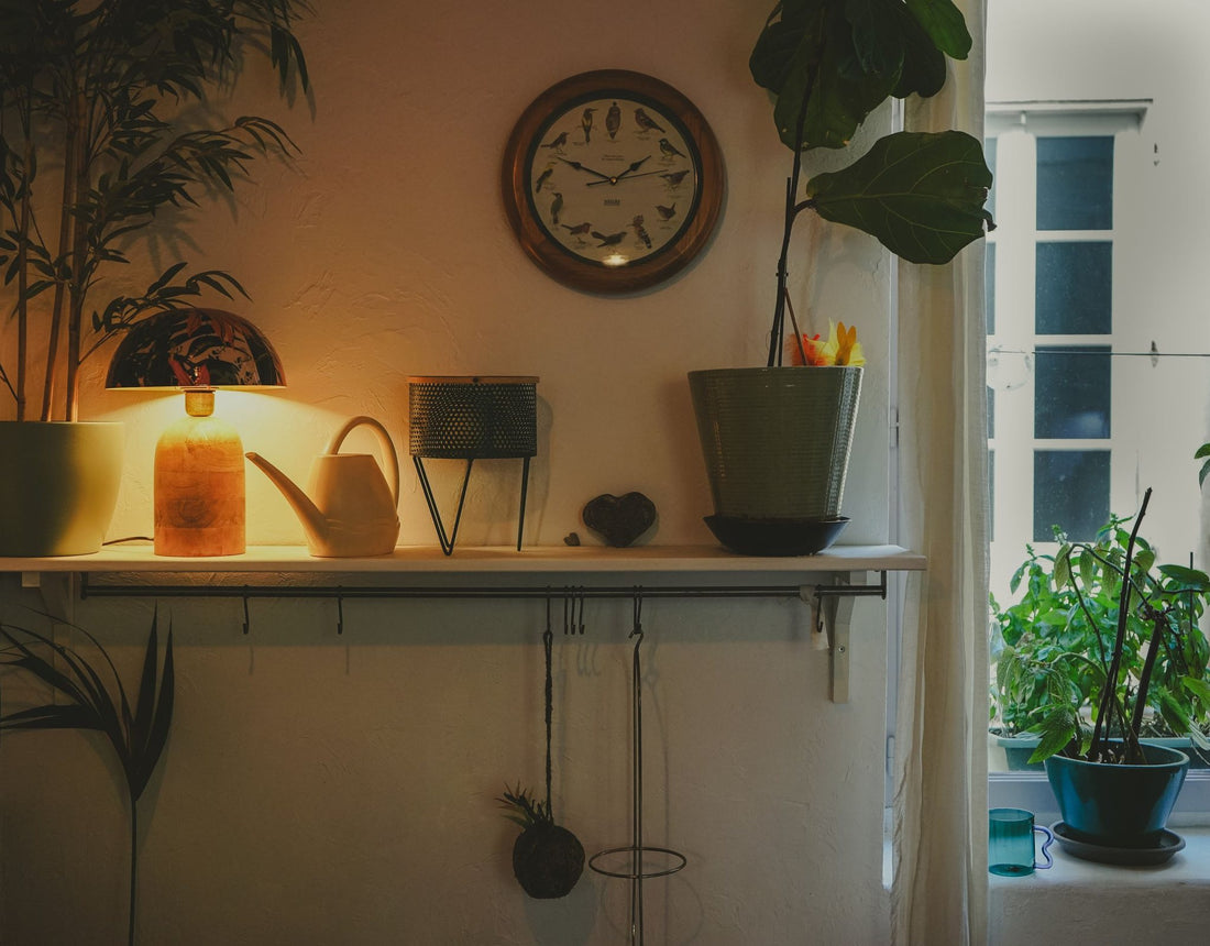 étagère chaleureuse avec plantes d'intérieur, arrosoir et lampe allumée, avant les vacances de la Toussaint