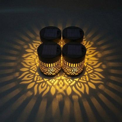 Fleur de lumière®