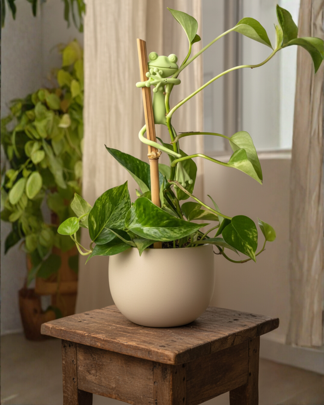 Mamie-Frog® - Tuteur décoratif