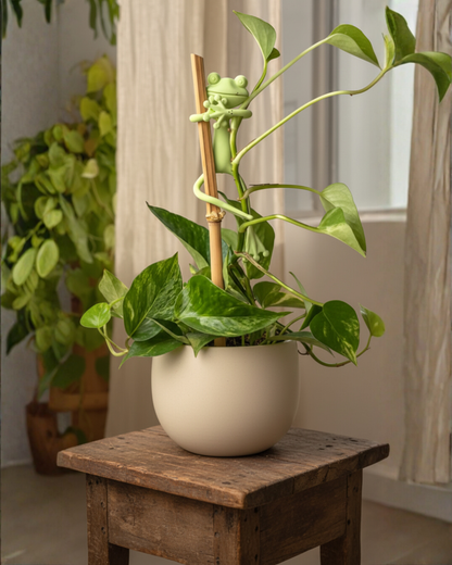 Mamie-Frog® - Tuteur décoratif