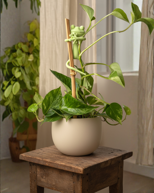 Mamie-Frog® - Tuteur décoratif