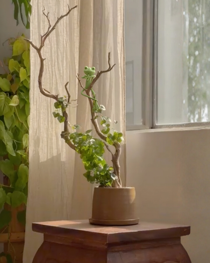 Mamie-Frog® - Tuteur décoratif