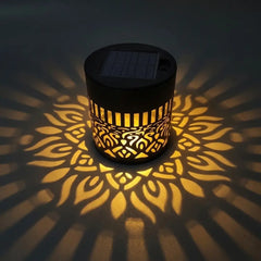 Fleur de lumière®