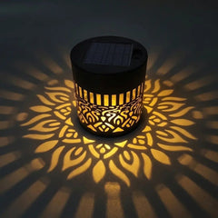 Fleur de lumière®
