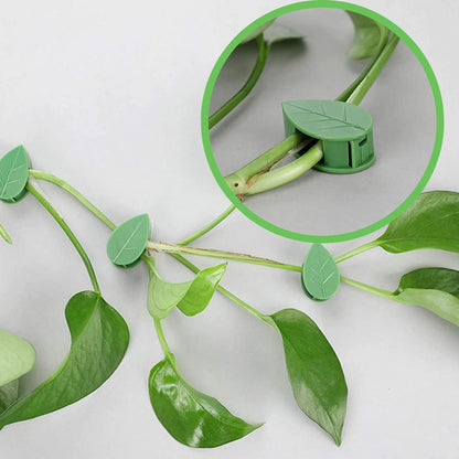 Clip feuille vert clair maintenant une tige de plante grimpante, avec zoom