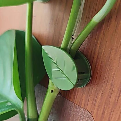 Clips feuille collés sur un mur en bois pour tenir des tiges