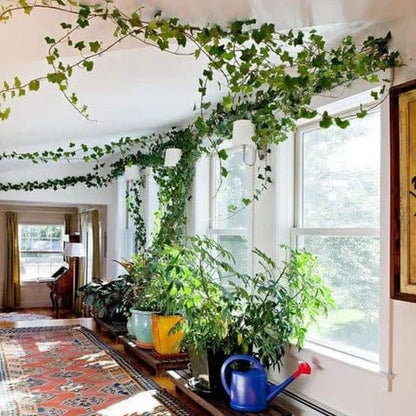 Couloir lumineux avec des plantes vertes qui grimpent le long des fenêtres et du plafond