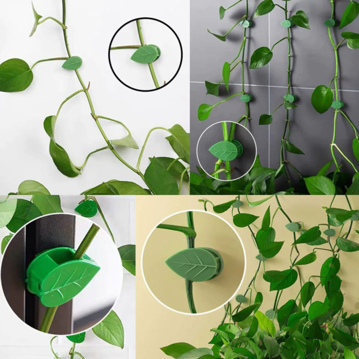 Collage de plusieurs façons de fixer une plante grimpante avec les clips feuille