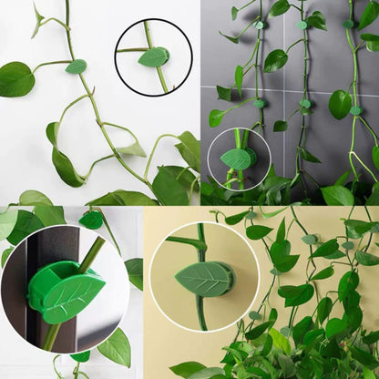 Collage de plusieurs façons de fixer une plante grimpante avec les clips feuille