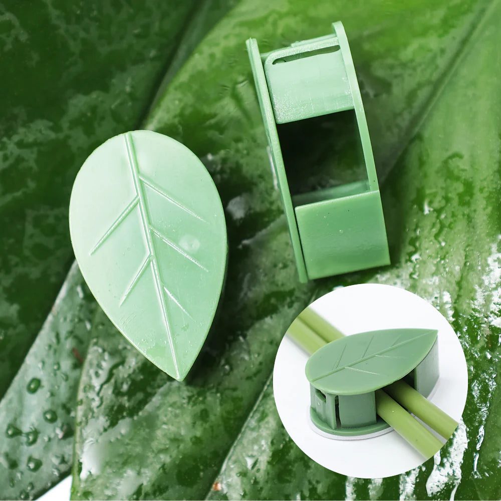 Clips en forme de feuille, ouverts et fermés, sur une grande feuille verte