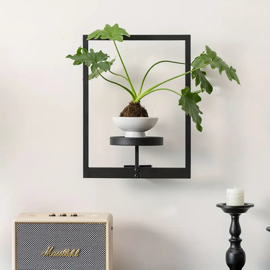 Planty® | Cadre pour plantes
