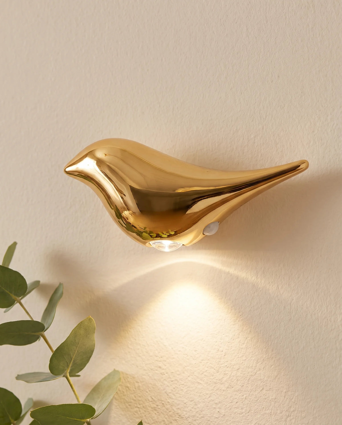 Mes petits oiseaux de nuit, gros plan d'un oiseau doré effet miroir allumé | Jardin de Mamie