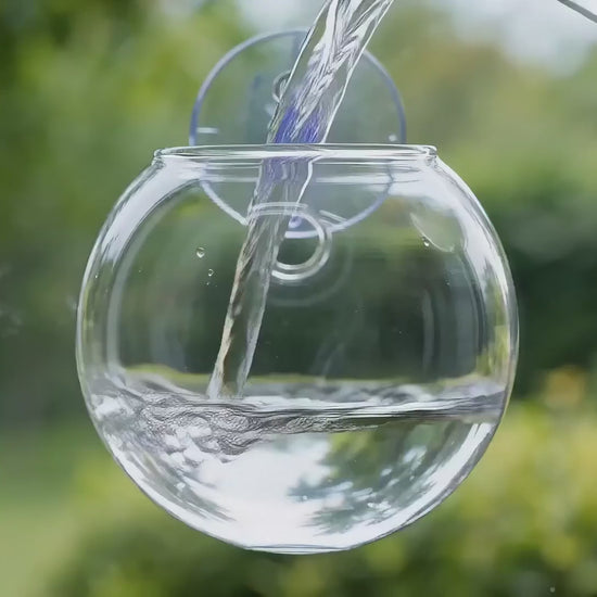 Bulles de Boutures®