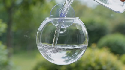 Bulles de Boutures®