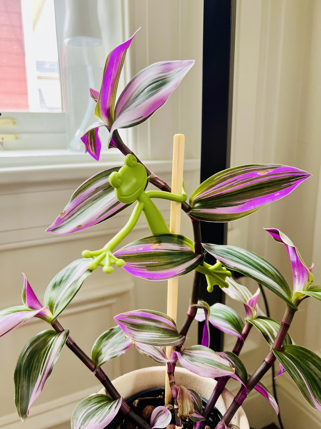 Mamie-Frog® - Tuteur décoratif