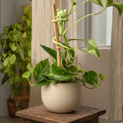 Tuteur décoratif Mamie-Frog en forme de grenouille verte accrochée à une tige de plante en pot.