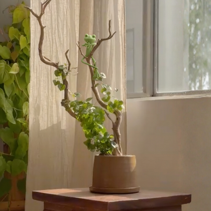 Tuteur décoratif mamie frog dans une plante avec des branche grimpantes