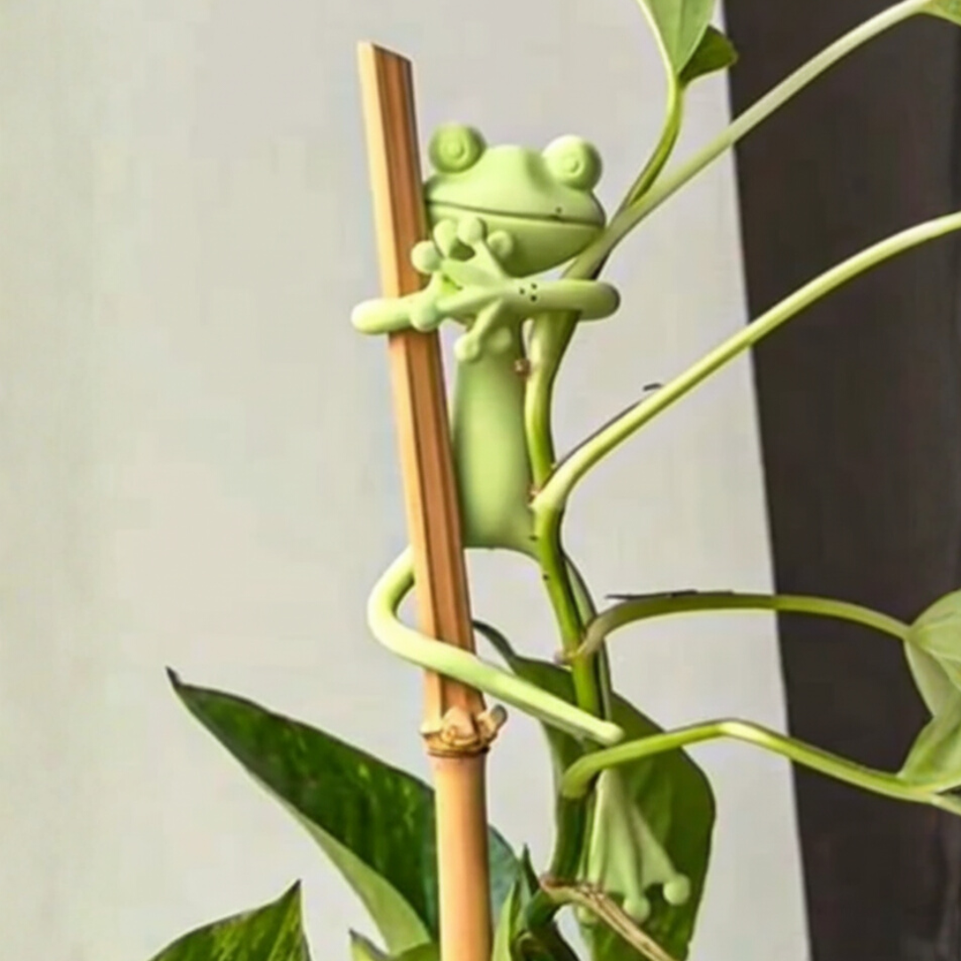 Tuteur décoratif mamie frog avec un effet zoom 