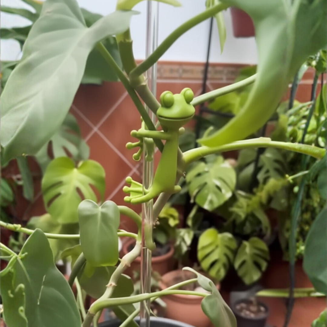 Tuteur décoratif mamie frog accroché à une plante dans un jardin