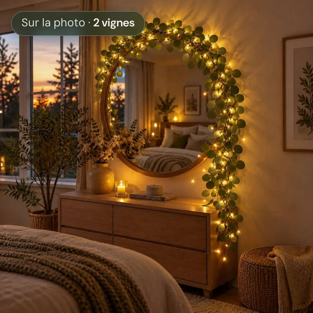 Vigne de Lumière guirlande d'eucalyptus lumineuse autour d'un miroir de chambre | Jardin de Mamie