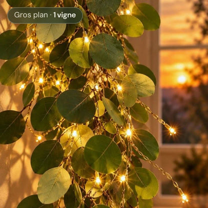 Vigne de Lumière guirlande de feuilles d'eucalyptus et micro-LED blanc chaud, gros plan | Jardin de Mamie