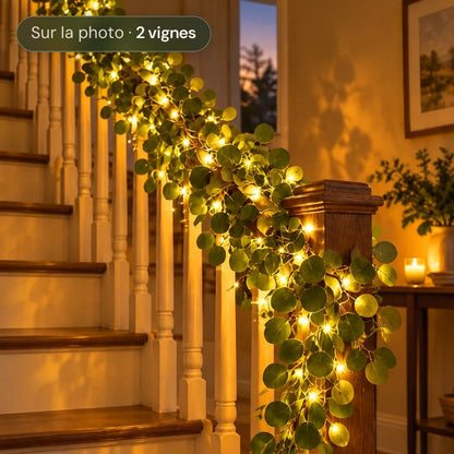 Vigne de Lumière guirlande lumineuse sur la rampe d'un escalier | Jardin de Mamie
